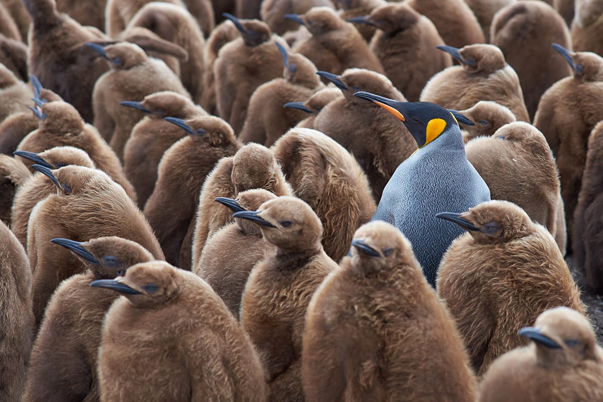 Naming Trends Within a Crowded Trademark Landscape