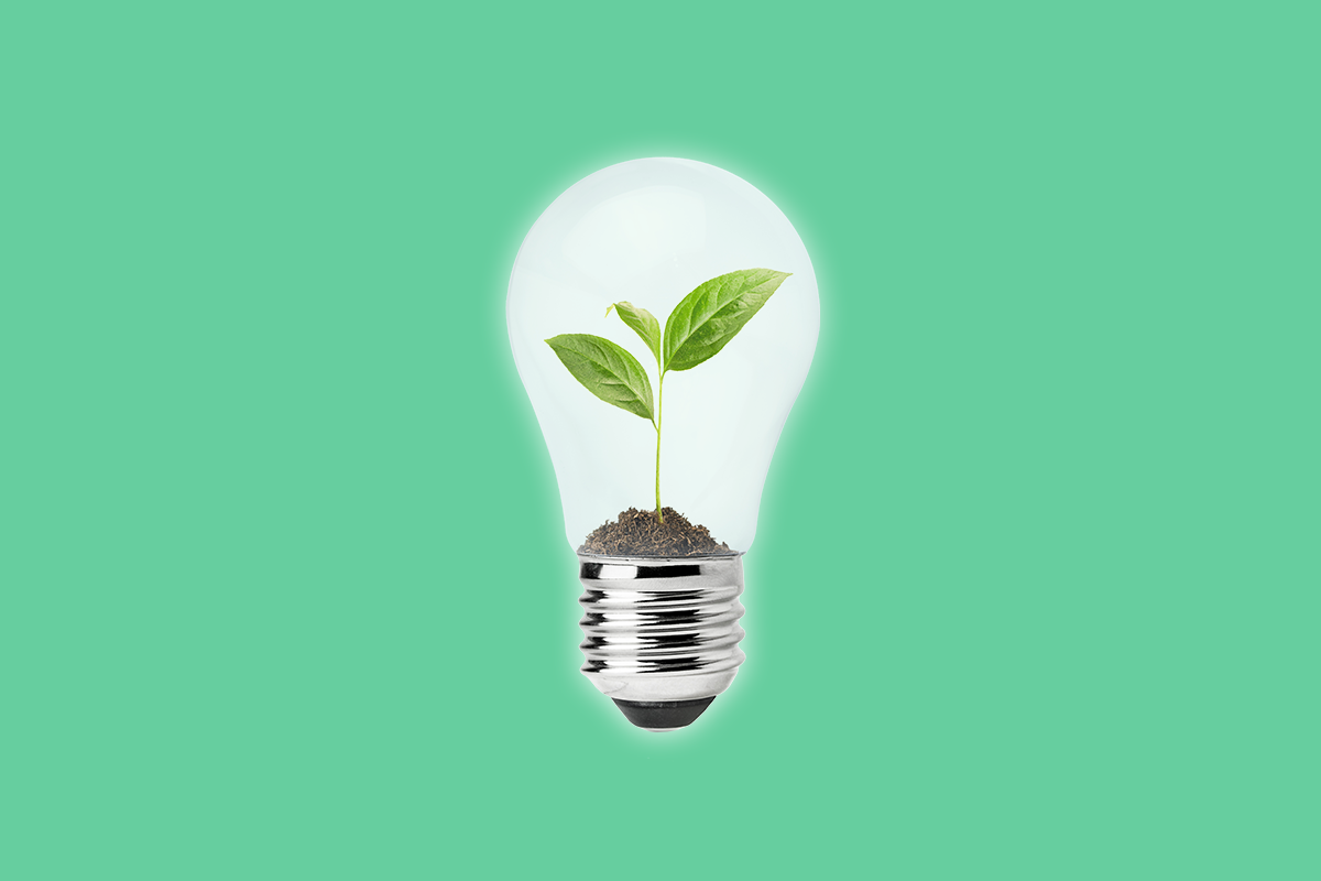 Webinar - Dec 5 | Building Brand Magic: How to Establish and Protect Your Brand - Register Now